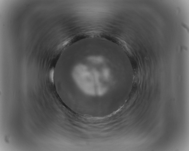 X0000097780047200803141817