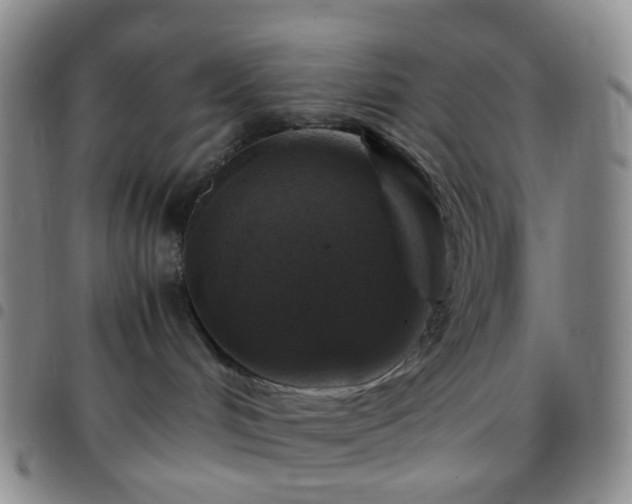 X0000097780048200803141817