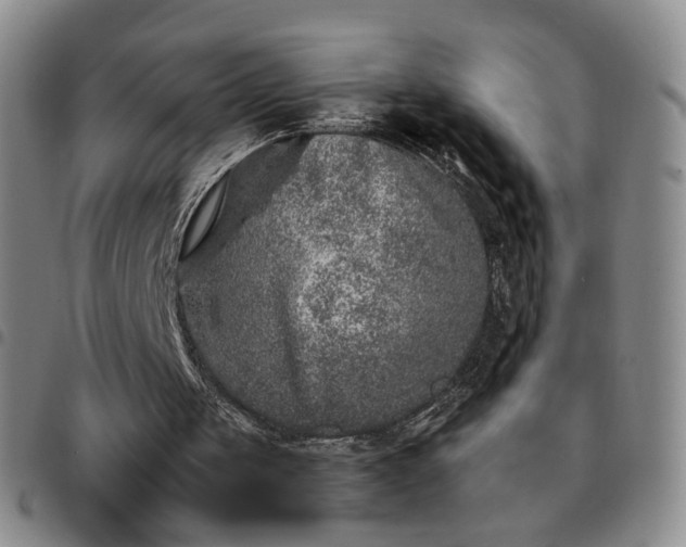 X0000097780049200803141816