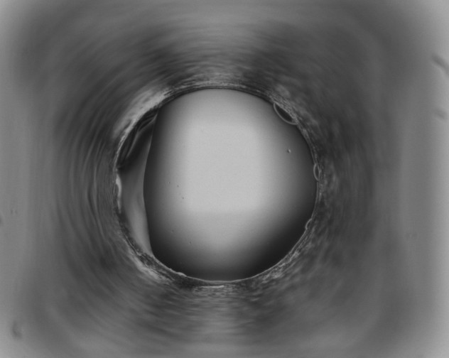 X0000097780050200803141816