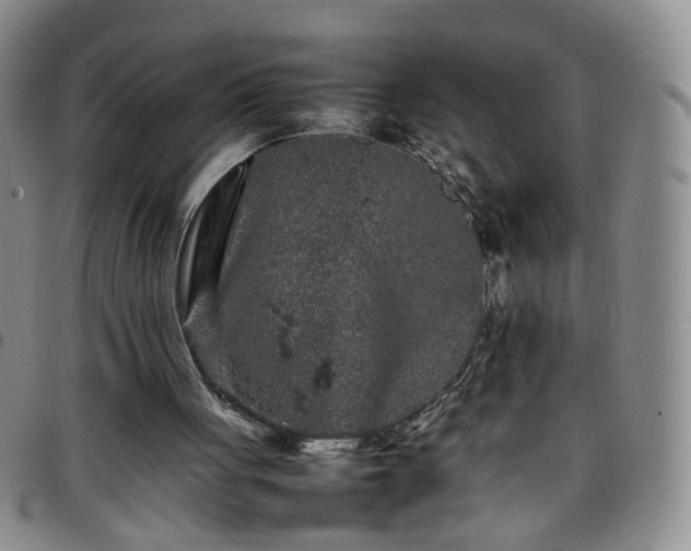 X0000097780051200803141816