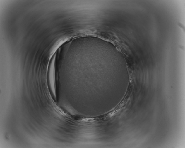 X0000097780052200803141816