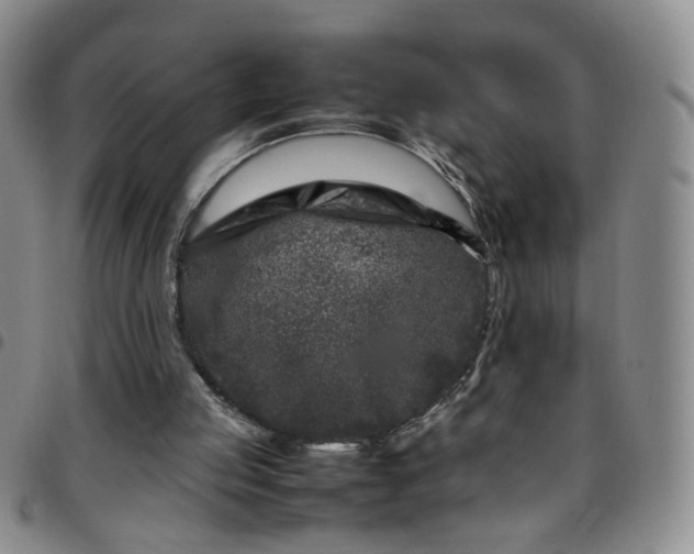 X0000097780053200803141816