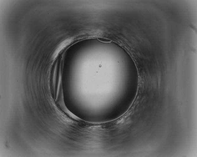 X0000097780054200803141816