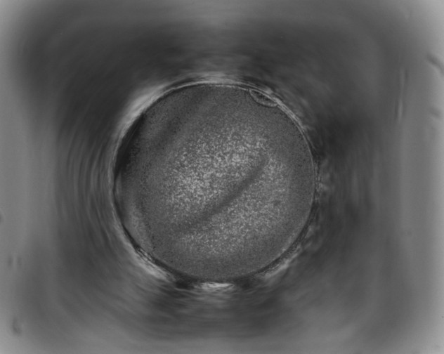 X0000097780055200803141816