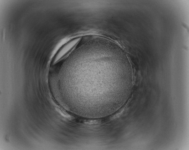 X0000097780056200803141816