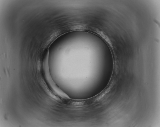 X0000097780057200803141816