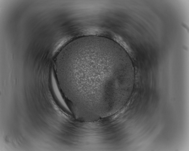 X0000097780058200803141816