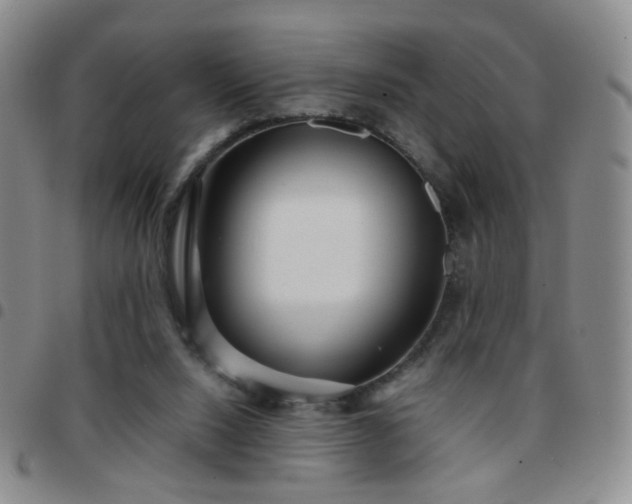 X0000097780064200803141816