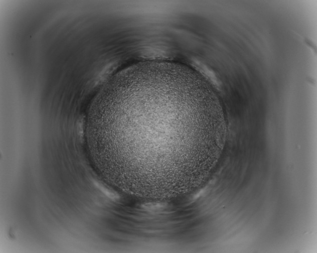 X0000097780065200803141816