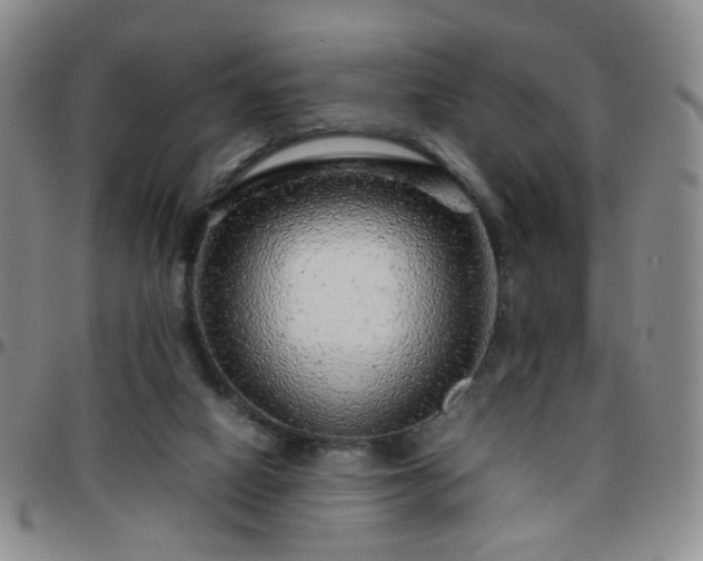 X0000097780066200803141816