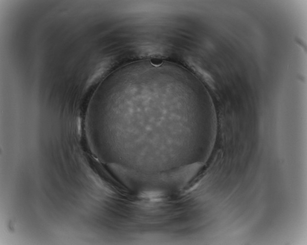 X0000097780067200803141816