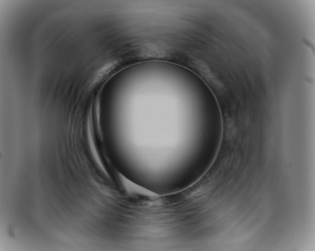 X0000097780068200803141816