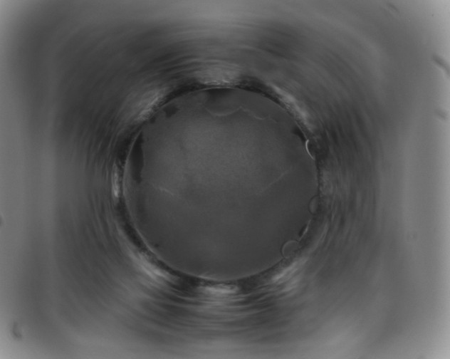 X0000097780069200803141816