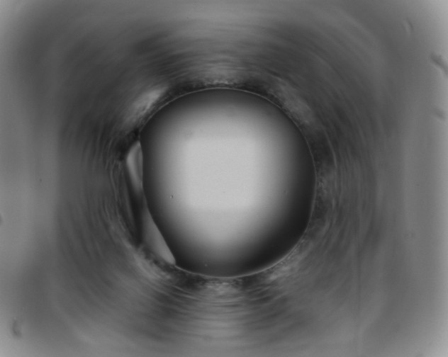 X0000097780070200803141816