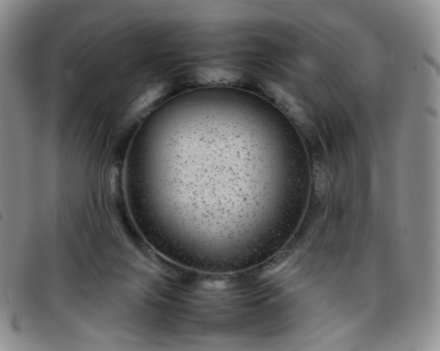 X0000097780071200803141816