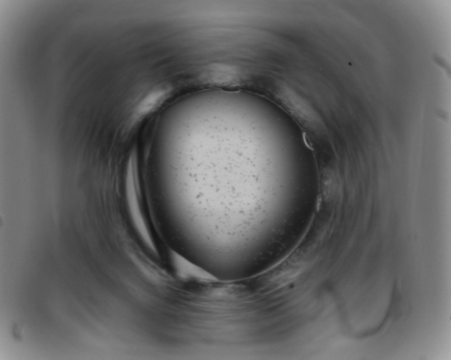 X0000097780072200803141817