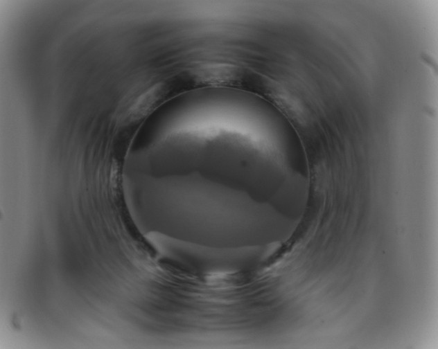 X0000097780073200803141817