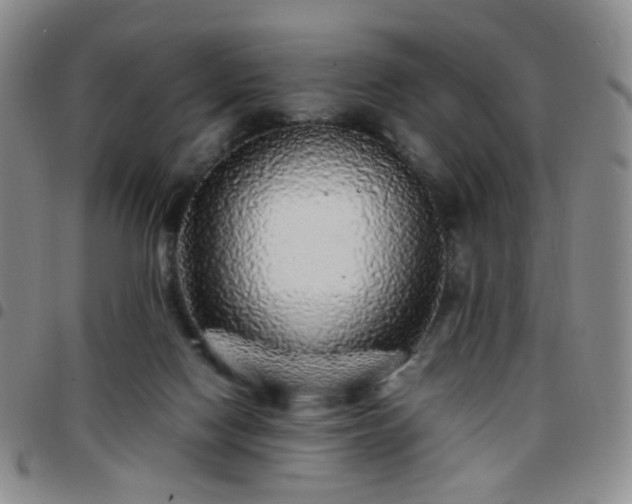 X0000097780074200803141817