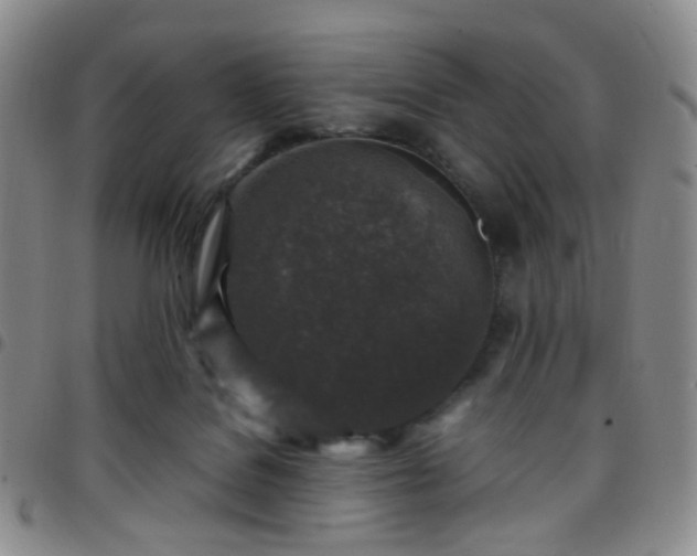 X0000097780076200803141817