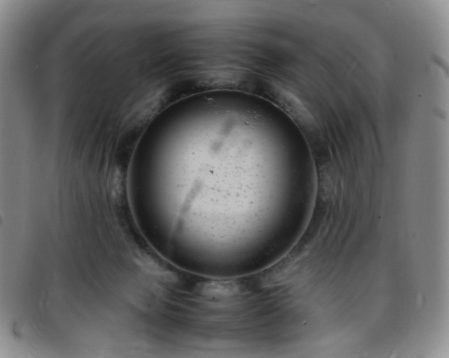 X0000097780077200803141817