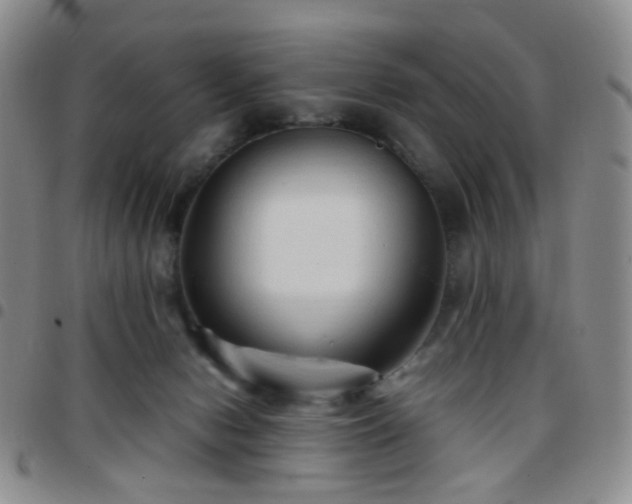 X0000097780078200803141817