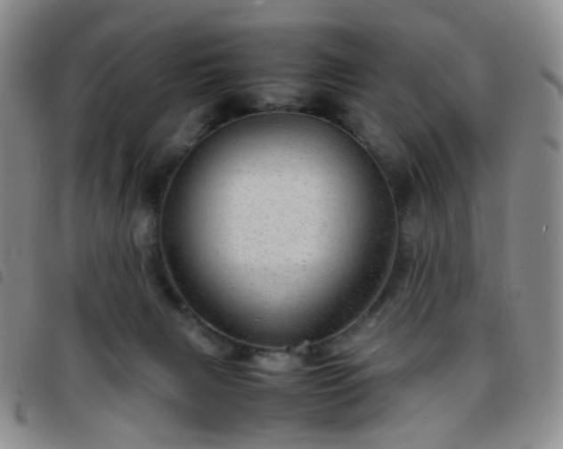 X0000097780079200803141817