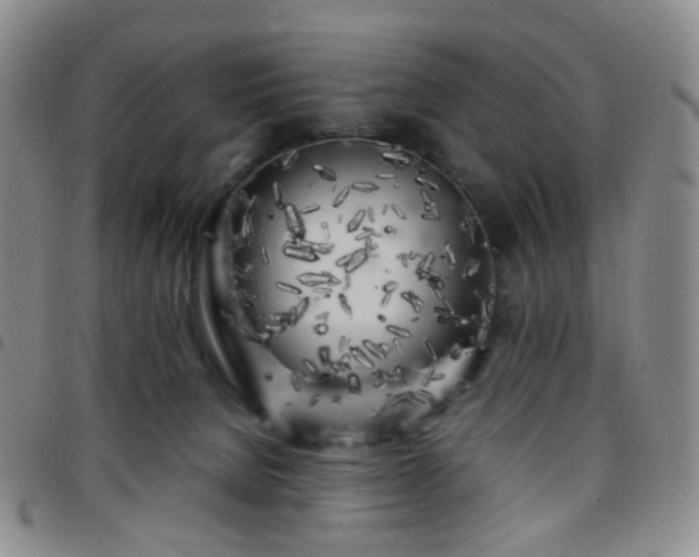 X0000097780080200803141817