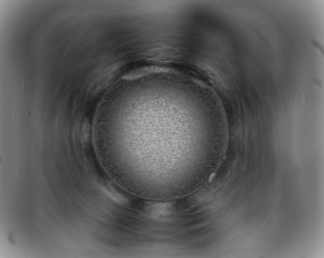 X0000097780081200803141817