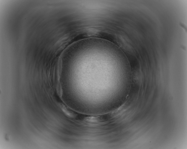 X0000097780082200803141817