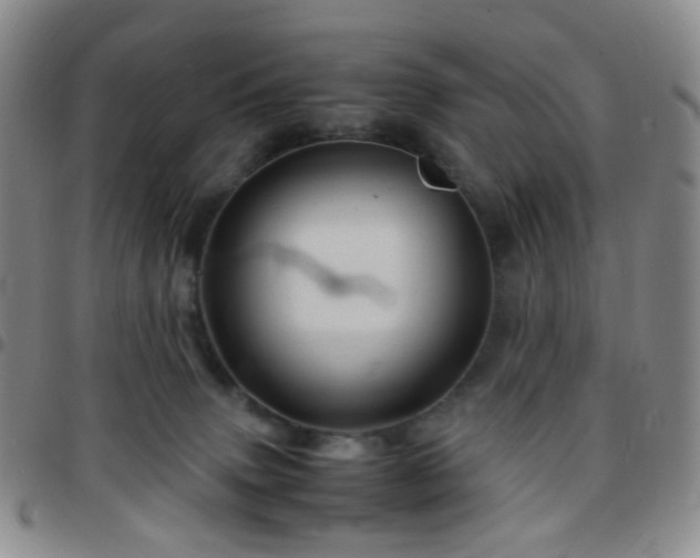 X0000097780083200803141817