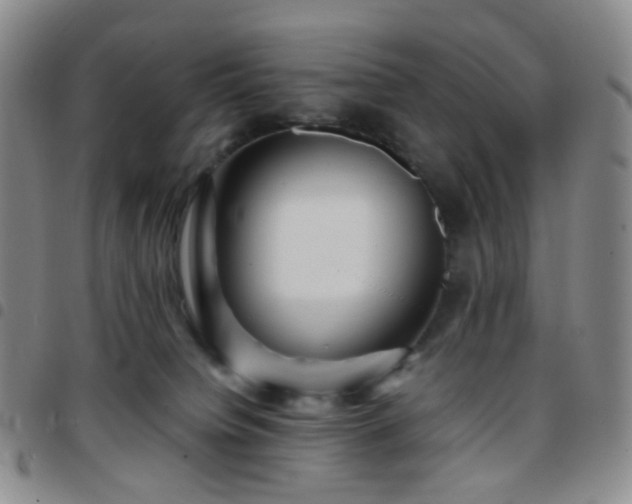 X0000097780084200803141817