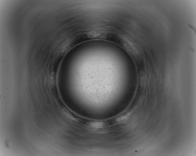 X0000097780085200803141817