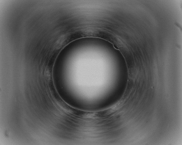 X0000097780086200803141817