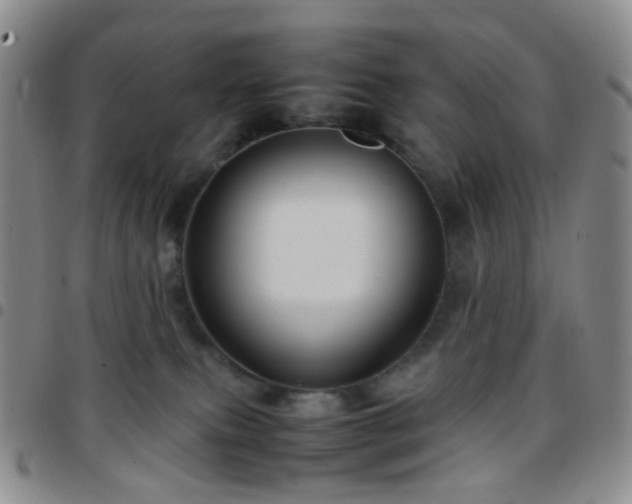 X0000097780087200803141817