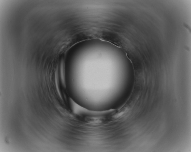 X0000097780088200803141817