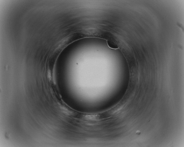 X0000097780089200803141817