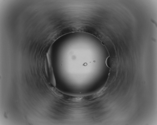 X0000097780090200803141817