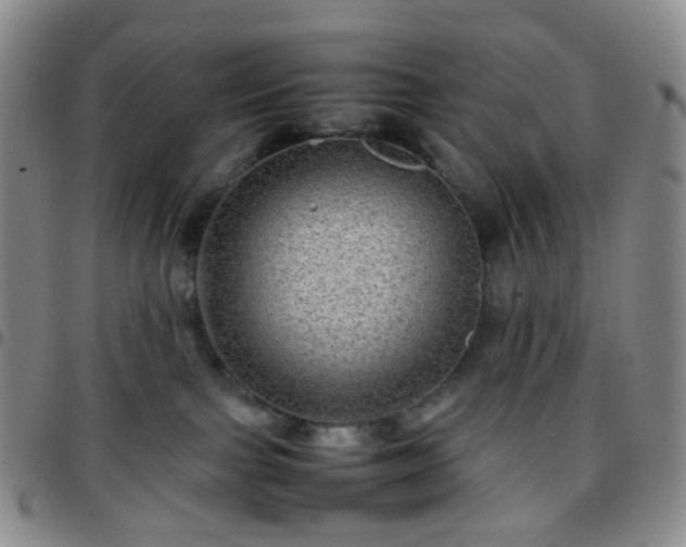 X0000097780091200803141817