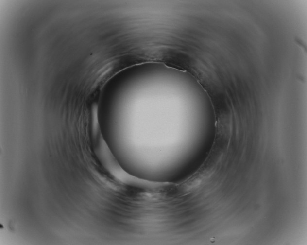 X0000097780092200803141817