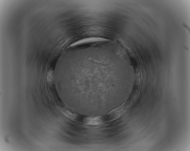 X0000097780093200803141817