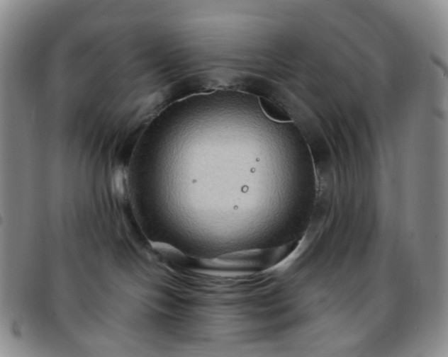 X0000097780094200803141817