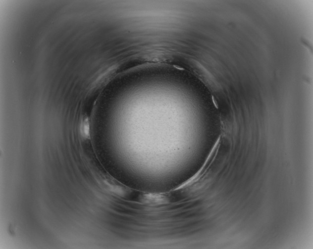 X0000097780095200803141817