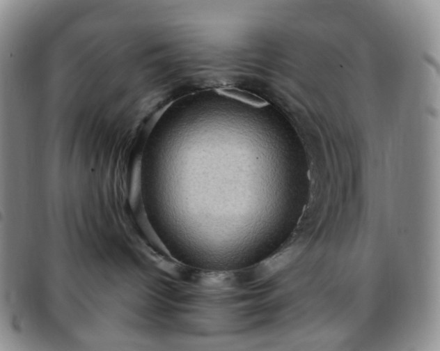 X0000097780096200803141817