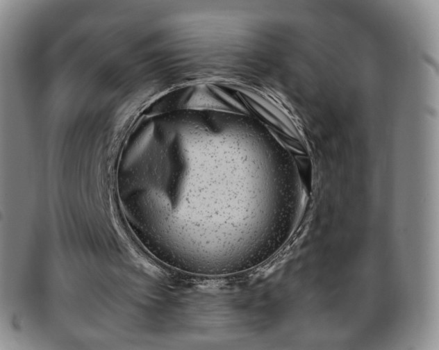 X0000097780097200803141816