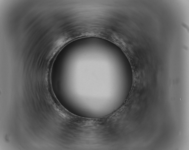 X0000097780098200803141816