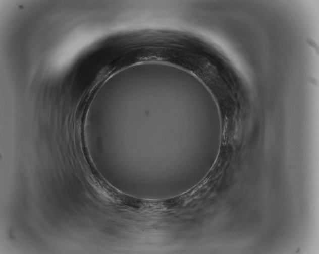 X0000097780099200803141816