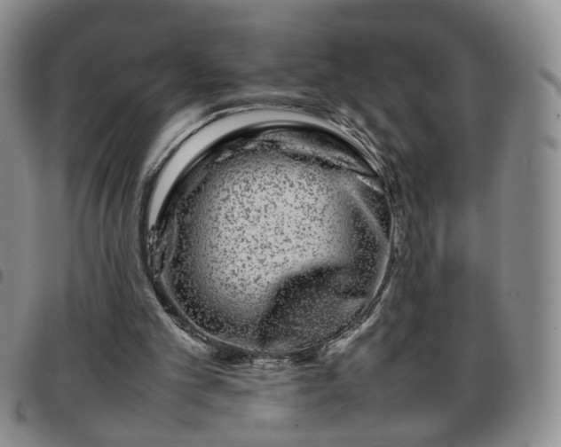 X0000097780101200803141816