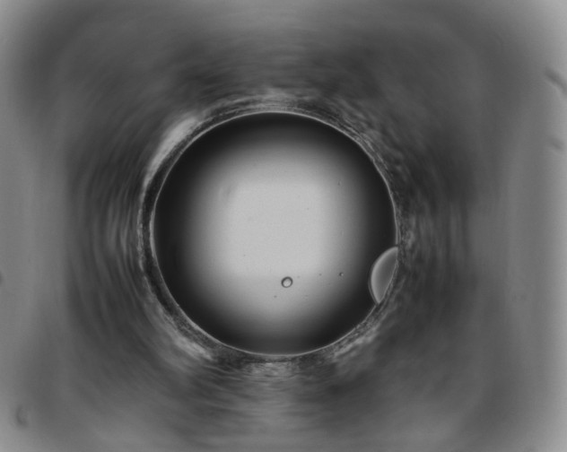 X0000097780102200803141816