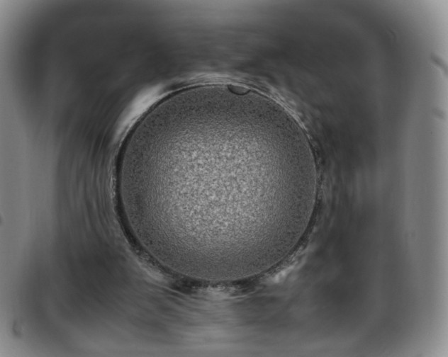 X0000097780103200803141816